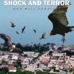 Birdemic shock and Terror (Film)